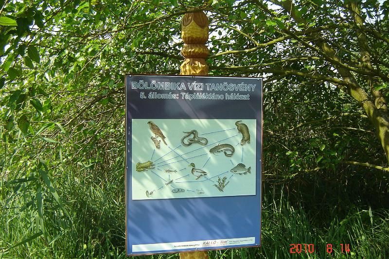 kuki_vizibazis 011.jpg